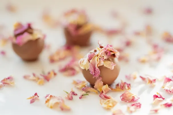 Andromeda Kasino Android/iOS Sovellus